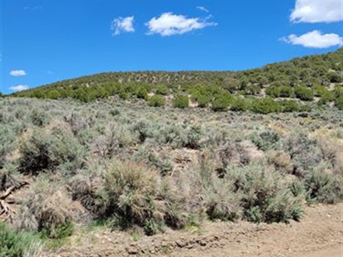 Amazing Colorado Mountain Views : Fort Garland : Costilla County : Colorado