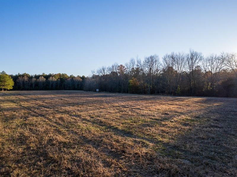 45 Acres Northeast Alabama : Flat Rock : Jackson County : Alabama