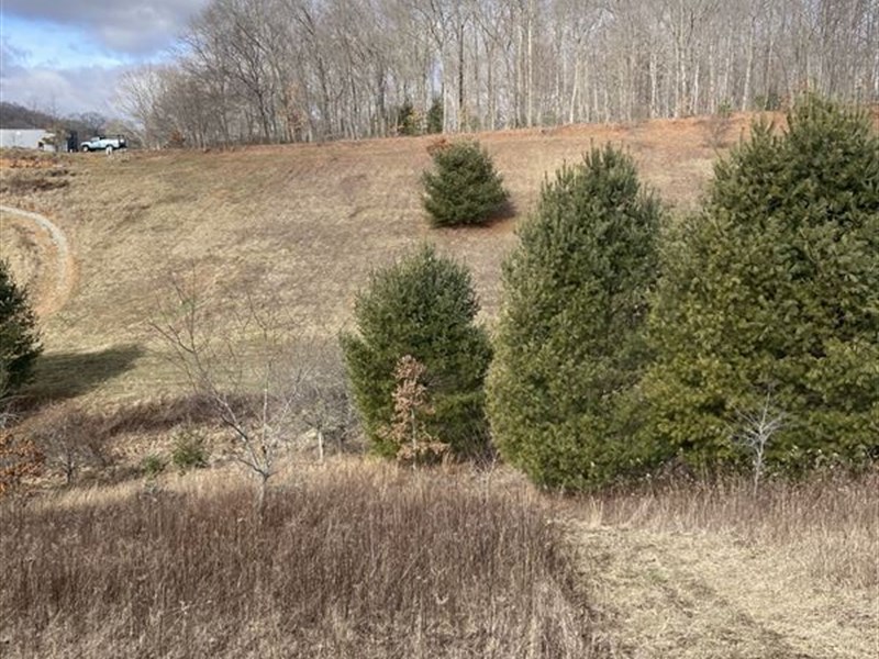 Dream Land, Just $729/Month : Grassy Creek : Ashe County : North Carolina