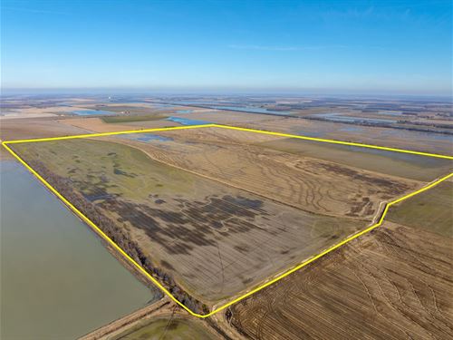 513 Excellent Row Crop, Duck : Hickory Ridge : Cross County : Arkansas