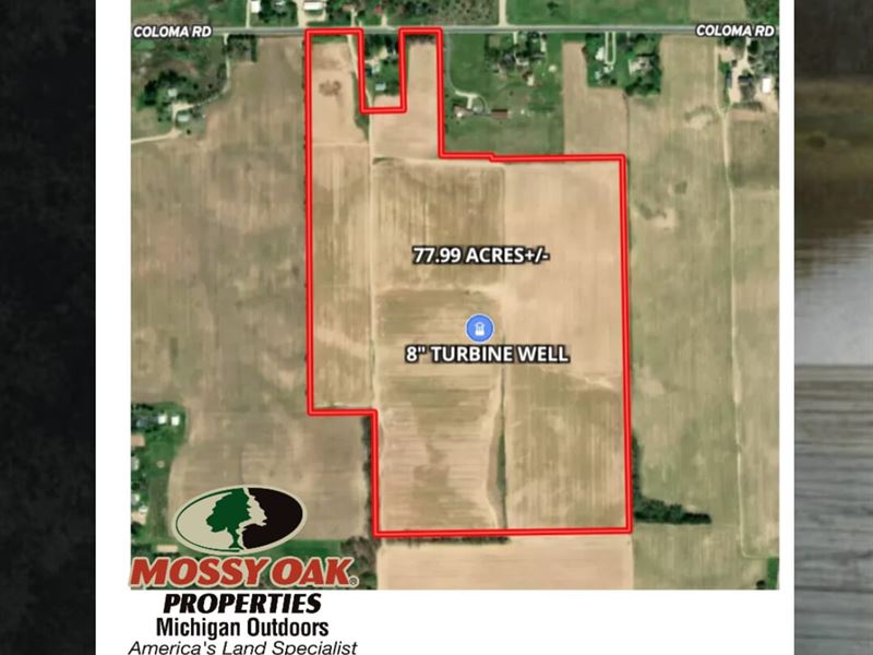 77.99 Tillable Acres with Irriga : Coloma : Berrien County : Michigan
