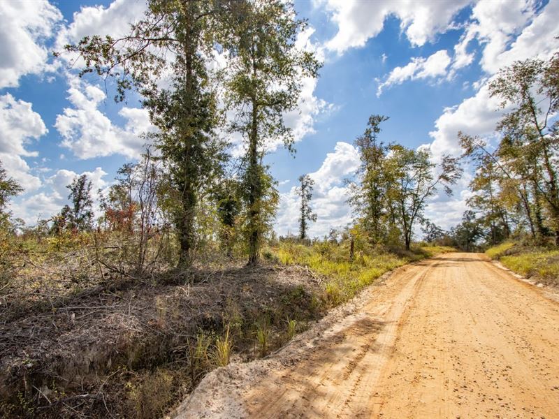 17.9 Ac Rural Homesite Mini-Farm : Bonifay : Holmes County : Florida