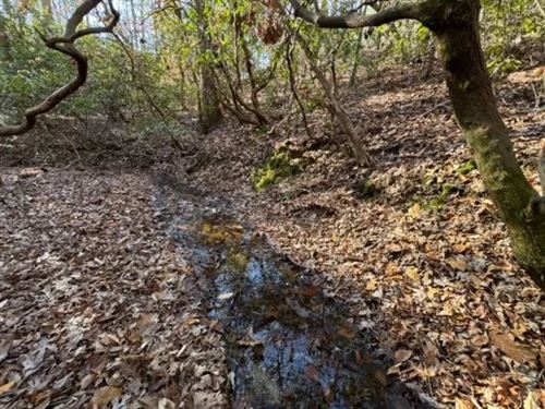 3.13 Acres on Mountain Mint Way : Salem : Oconee County : South Carolina