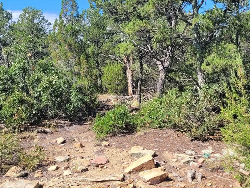 32200 Vista View Rd, Aguilar, CO 81 : Aguilar : Las Animas County : Colorado