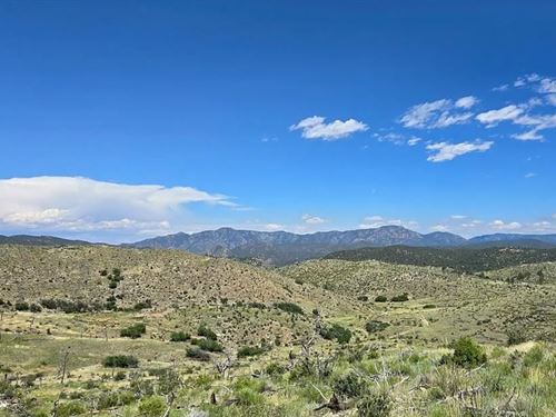 2 Acres Mountain Lot with Views : Cotopaxi : Fremont County : Colorado