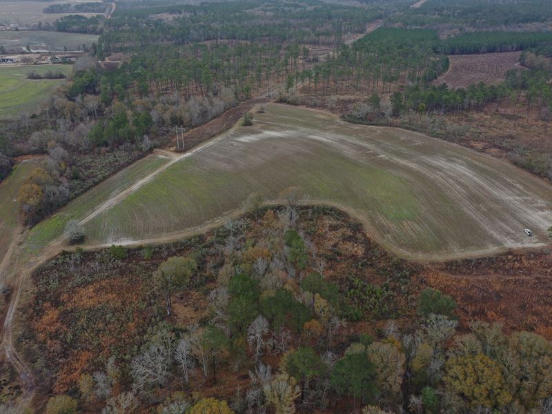 40 Acres, Multi-Use Farm : Meigs : Colquitt County : Georgia