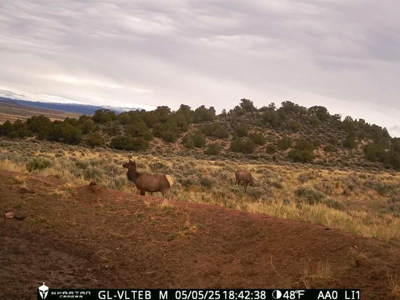 91.18 Acres in Amalia, New Mexico : Amalia : Taos County : New Mexico