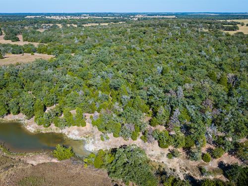 20+ Acres, Large Pond Near Austin : Thrall : Williamson County : Texas