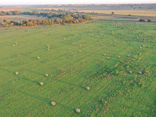 Frenchman Creek 80 : Culbertson : Hitchcock County : Nebraska