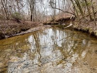 Reduced, Wedowee Tract, 236 Acre : Wedowee : Randolph County : Alabama