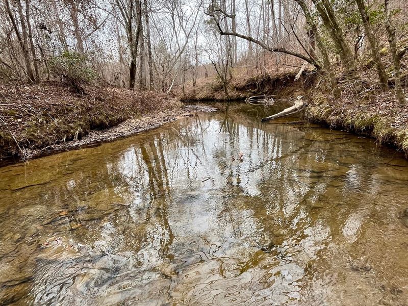 Reduced, Wedowee Tract, 236 Acre : Wedowee : Randolph County : Alabama