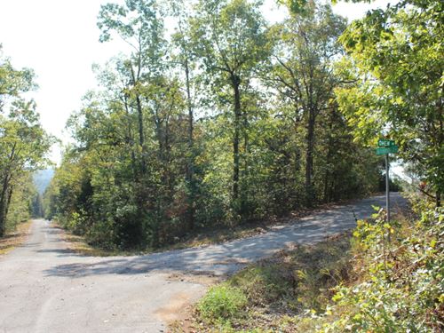 .27 Acre in Sharp County, AR : Cherokee Village : Sharp County : Arkansas