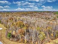 8.5 Acres, No HOA, Home & RV Living : Indian Mound : Stewart County : Tennessee