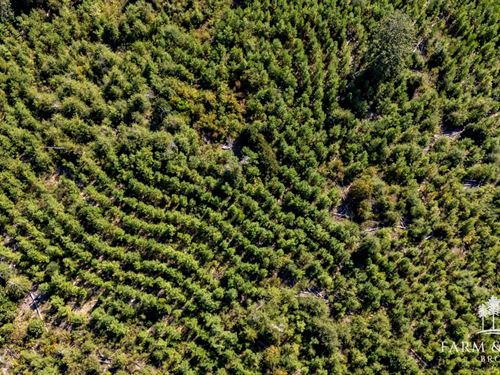 11.2 Ac Homesite Lot Jackson Co : Alford : Jackson County : Florida