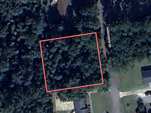 .46 Acre Residential Lot For Sale : Goldsboro : Wayne County : North Carolina