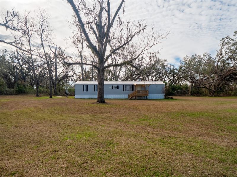 324 NE Delphinium Drive : Madison : Madison County : Florida