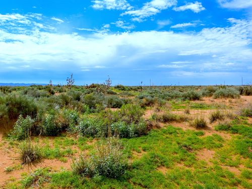 Unrestricted Land Near El Paso, TX : El Paso : Texas