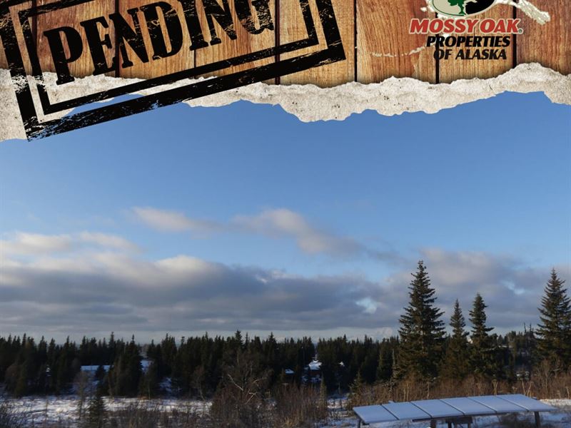 Conex Cabin with a View : Ninilchik : Kenai Peninsula Borough : Alaska