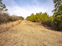 Homesite And Hunting Near McKinnis : Collins : Covington County : Mississippi