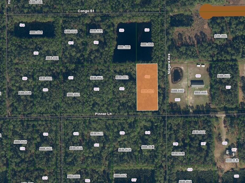 Build, Farm, Invest, $405/Mo : Palatka : Putnam County : Florida
