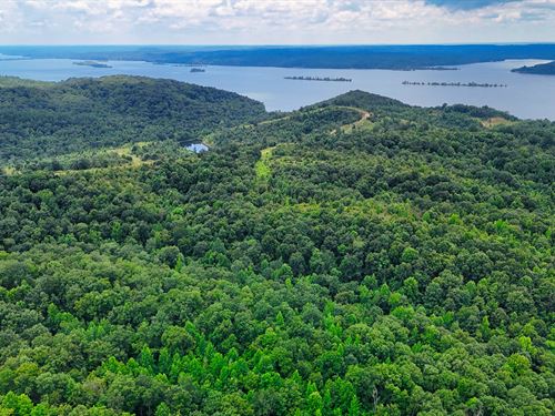 44.24 Acres in Stewart, TN : Stewart : Tennessee