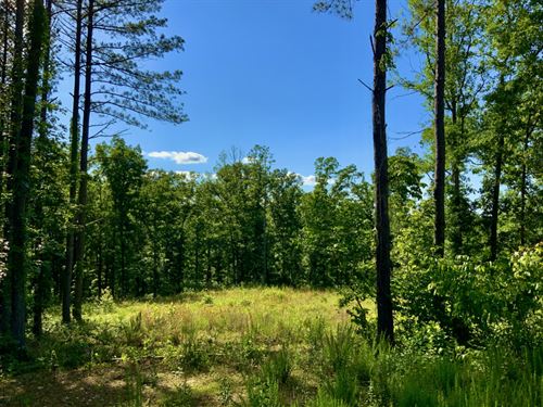 15 Acres in Humphreys County, TN : Waverly : Humphreys County : Tennessee