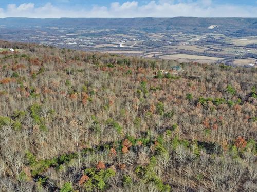 3.37 Acres in Bledsoe County, TN : Pikeville : Bledsoe County : Tennessee