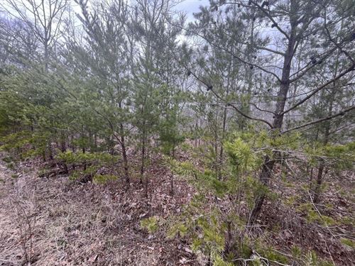 3.37 Acres in Bledsoe County, TN : Pikeville : Bledsoe County : Tennessee