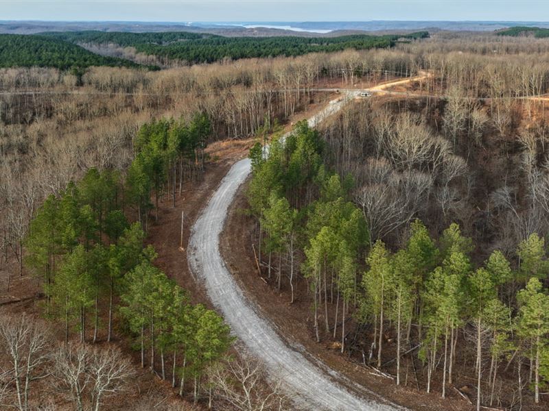 11 Acres in Humphreys County, TN : Waverly : Humphreys County : Tennessee