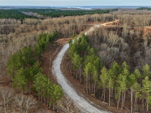 11 Acres in Humphreys County, TN : Waverly : Humphreys County : Tennessee