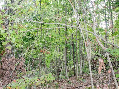 $499 Down Land/ No Catch : Mount Vernon : Rockcastle County : Kentucky