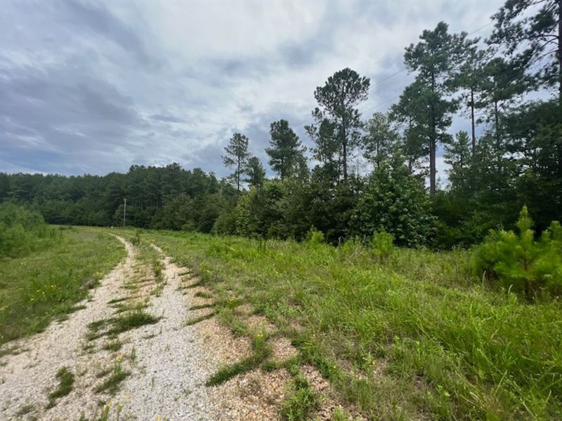 6.02 Acres Savannah Landings, GA : Elberton : Elbert County : Georgia