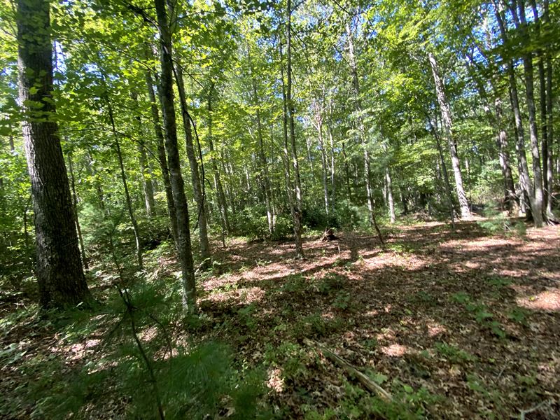 Peaceful 1.49 Acres, Make It Yours : Grassy Creek : Ashe County : North Carolina