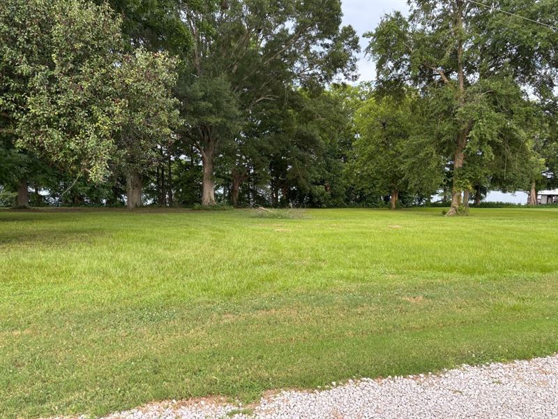 209' Lake Bruin Lot, St Joseph, LA : Saint Joseph : Tensas Parish : Louisiana