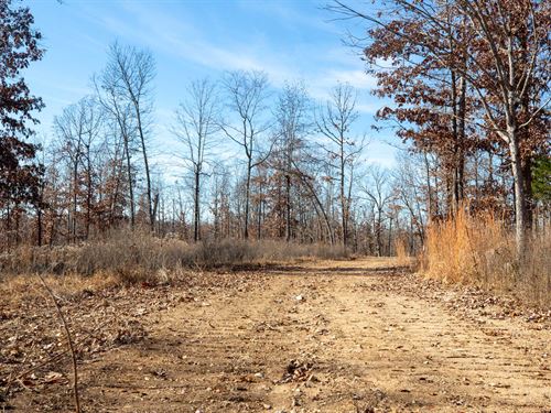 Discounted/$999 Down : Mamm : Fulton County : Arkansas