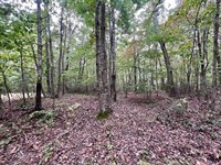 Updated, 20 Acres of Recreational : Sandy Level : Pittsylvania County : Virginia