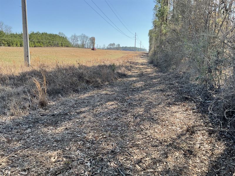 Beasley Highway 331, 4 Acre Lot : Luverne : Crenshaw County : Alabama
