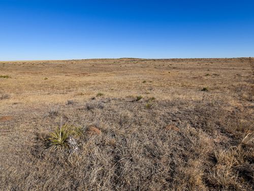 3208 County Road 28 : Yuma : Colorado