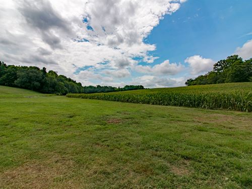 Western Kentucky Outfitter Business : Cadiz : Trigg County : Kentucky