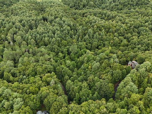 4.81 Acres in Mineral Bluff, GA : Mineral Bluff : Fannin County : Georgia