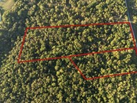21.63 Wooded Acres Belton, KY : Belton : Muhlenberg County : Kentucky