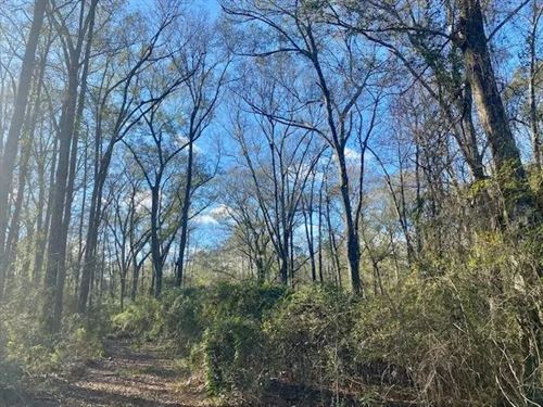 21.8 Acres On Morgantown Rd, McCom : McComb : Pike County : Mississippi
