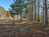 Lexington, GA Homesite Tract : Lexington : Oglethorpe County : Georgia