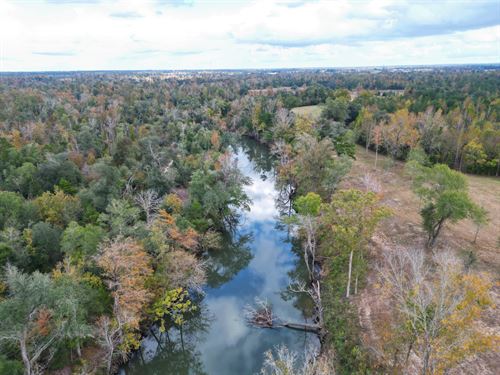 60 Acres with 1,500 Chipola River : Marianna : Jackson County : Florida