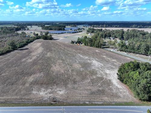 Acreage for Home or Farm : Fairmont : Robeson County : North Carolina