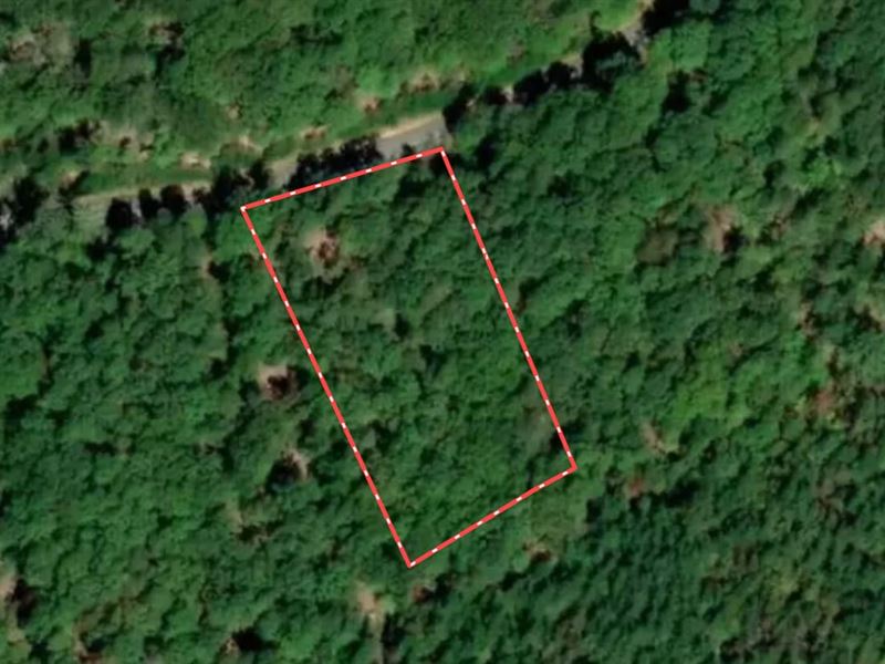 Updated, 1.5 Acre Lot for Sale : Denton : Davidson County : North Carolina