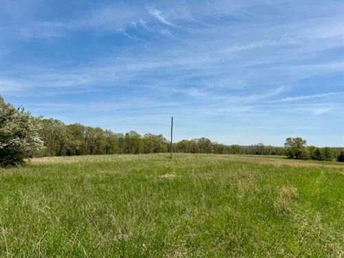 100 Acres, Corners Brill Macks Cree : Ava : Douglas County : Missouri
