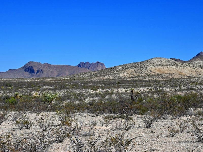 Off Grid Ranch Near Big Bend NP : Terlingua : Brewster County : Texas