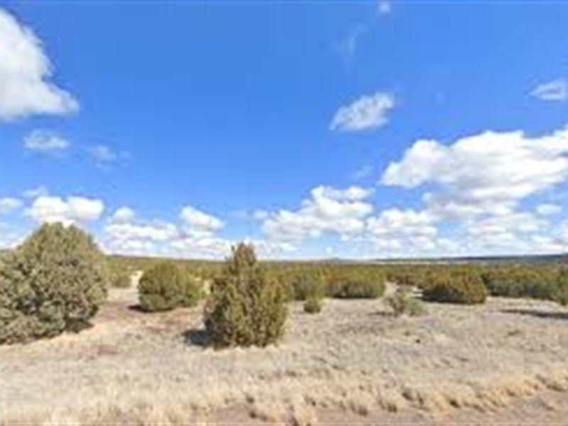 Dream Big on 1 Acre : Saint Johns : Apache County : Arizona