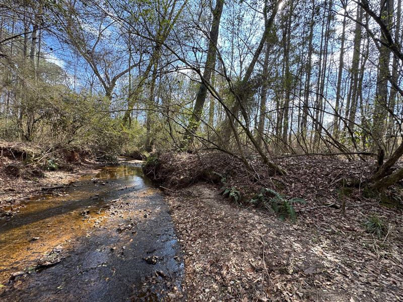47 Acres Commercial Lafayette : Lafayette : Chambers County : Alabama